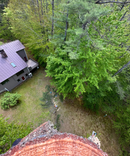 An aerial view of a house in the woods